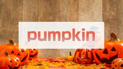 Turn into a pumpkin」ってどんな意味？「シンデレラ」由来のこの英語