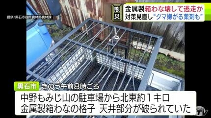かなり力が強い成獣”だったか 金属製の『箱わな』の格子を破って逃走の