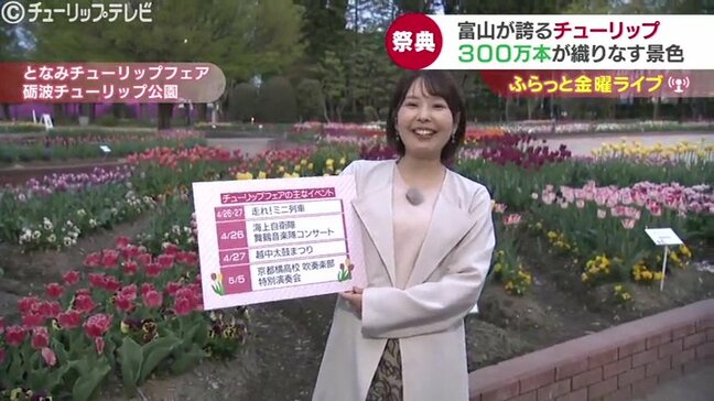 フラッと訪ねたい！色彩豊かな300万本の絨毯 ～となみチューリップフェア2025～　富山・砺波市|TBS NEWS DIG