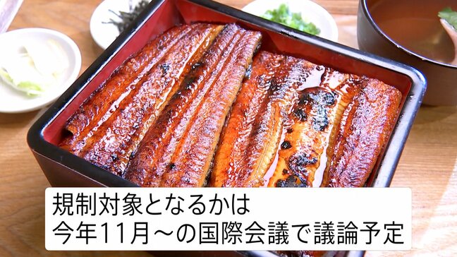 あす19日は「土用の丑の日」 うなぎの稚魚豊漁で“去年より安い”店も「高いから嬉しい」 国際取引の規制強化案で価格高騰の可能性も|TBS NEWS DIG