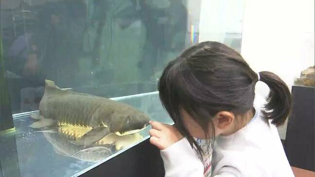 専門学校で動物飼育の実習などを支える動物たちに触れ合える動物園と水族館開館　岡山理科大学専門学校|TBS NEWS DIG