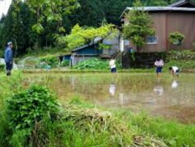 農家民泊と芸者文化の再生が国際的な評価「世界の持続可能な観光地TOP100選」に南信州と千曲市が選出　日本からは永平寺やニセコなども　長野|TBS NEWS DIG