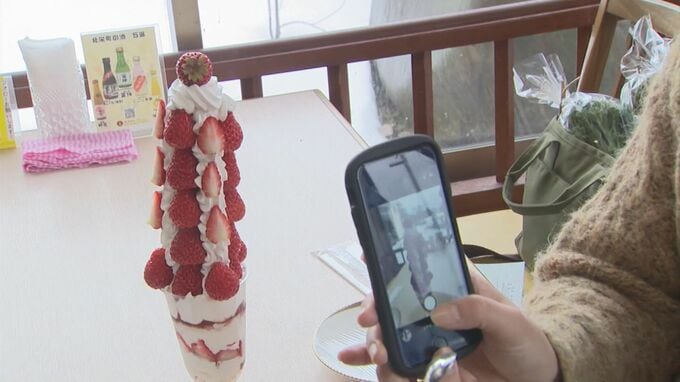 高さ30センチ、紅ほっぺ24個使用「イチゴツリーパフェ」がSNSで人気に…町をイチゴの産地に|TBS NEWS DIG