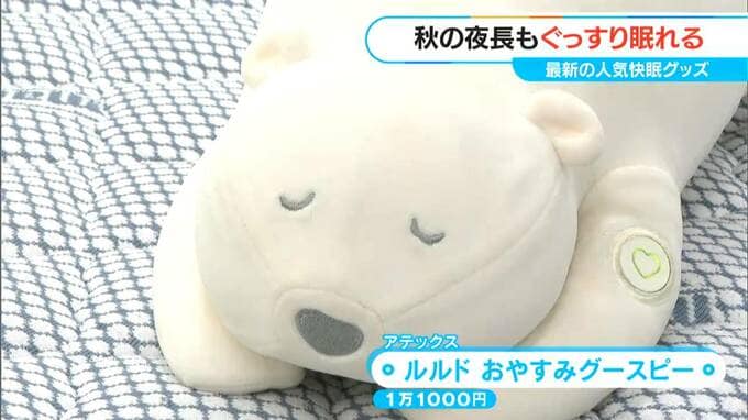 “グミのような耳栓”や“振動する抱き枕”「寝つきが悪い」秋にオススメ  睡眠の質高める快眠グッズ　|　名古屋・愛知・岐阜・三重のニュース【CBC news】 | CBC web