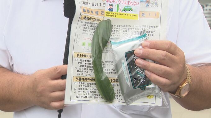 「車はキュウリ(急に)止まれない」 キュウリで交通安全よびかけ | BSSニュース | BSS山陰放送
