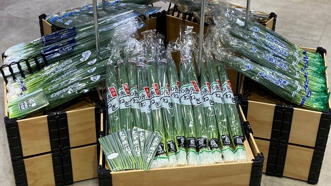「薬味だけじゃない」東京で小ネギフェスタ　予想以上の人気で2時間で完売　|　大分のニュース｜OBS NEWS｜大分放送