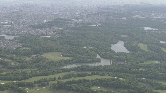 公園で男女2人を襲ったイノシシ　池に入ったまま姿を現さず　そのまま沈んだか　所長は「生死の判定はまだわからない」　|TBS NEWS DIG