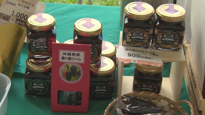 桑の実や葉を使ったスイーツが大集合　浦添市で島桑フェア　9月8日は桑の日|TBS NEWS DIG