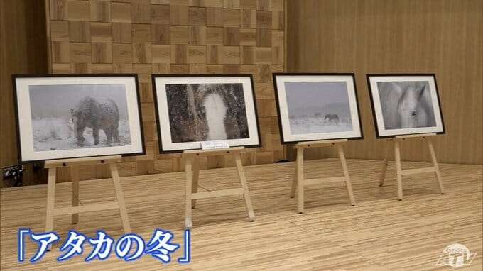 寒立馬の様子を捉えた写真が約２万３０００点の中の最高賞　つがる市の写真家が撮影した東通村の景色の展示が開催中　|　青森のニュース│ATV NEWS│青森テレビ