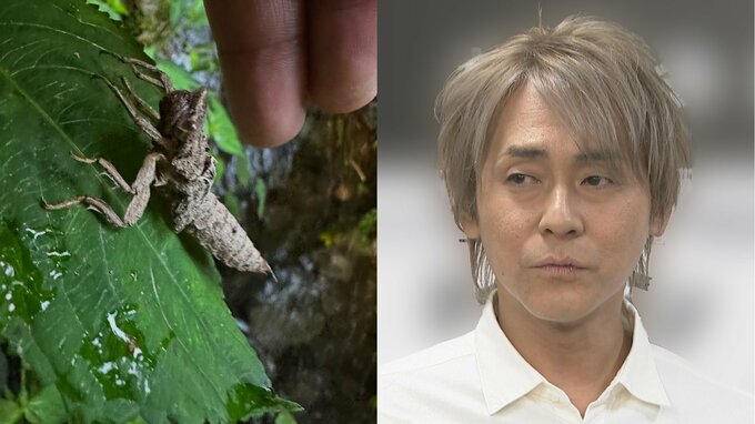 【 ヒロシ 】「ヤゴの抜け殻じゃないか！」瑞々しい葉の上からお知らせ　フォロワー注目「涼しげな清流のお届け嬉しい！」「武運が良さげ」|TBS NEWS DIG
