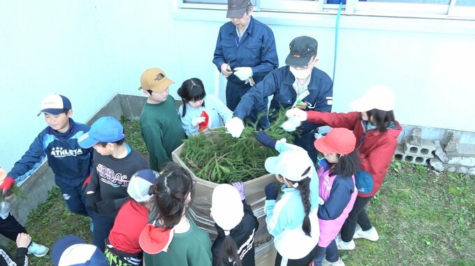 「大きく育て！」児童たちが「きのこ栽培」から森林の大切さを学ぶ　順調に成長すれば秋には収穫！　|　青森のニュース│ATV NEWS│青森テレビ