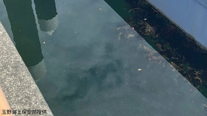 「船溜まりに油が流れている」と通報→長さ50メートル・幅5メートルの範囲で浮流油を確認　海上保安部が流出元を調査【岡山・玉野市】|TBS NEWS DIG