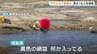 京都の海岸でサザエやアワビなど密漁か　男性が持っていた袋からは大量のサザエ　20代から70代の男女19人を摘発　舞鶴海上保安部　|　MBSニュース | 関西の最新ニュースを分かりやすく。