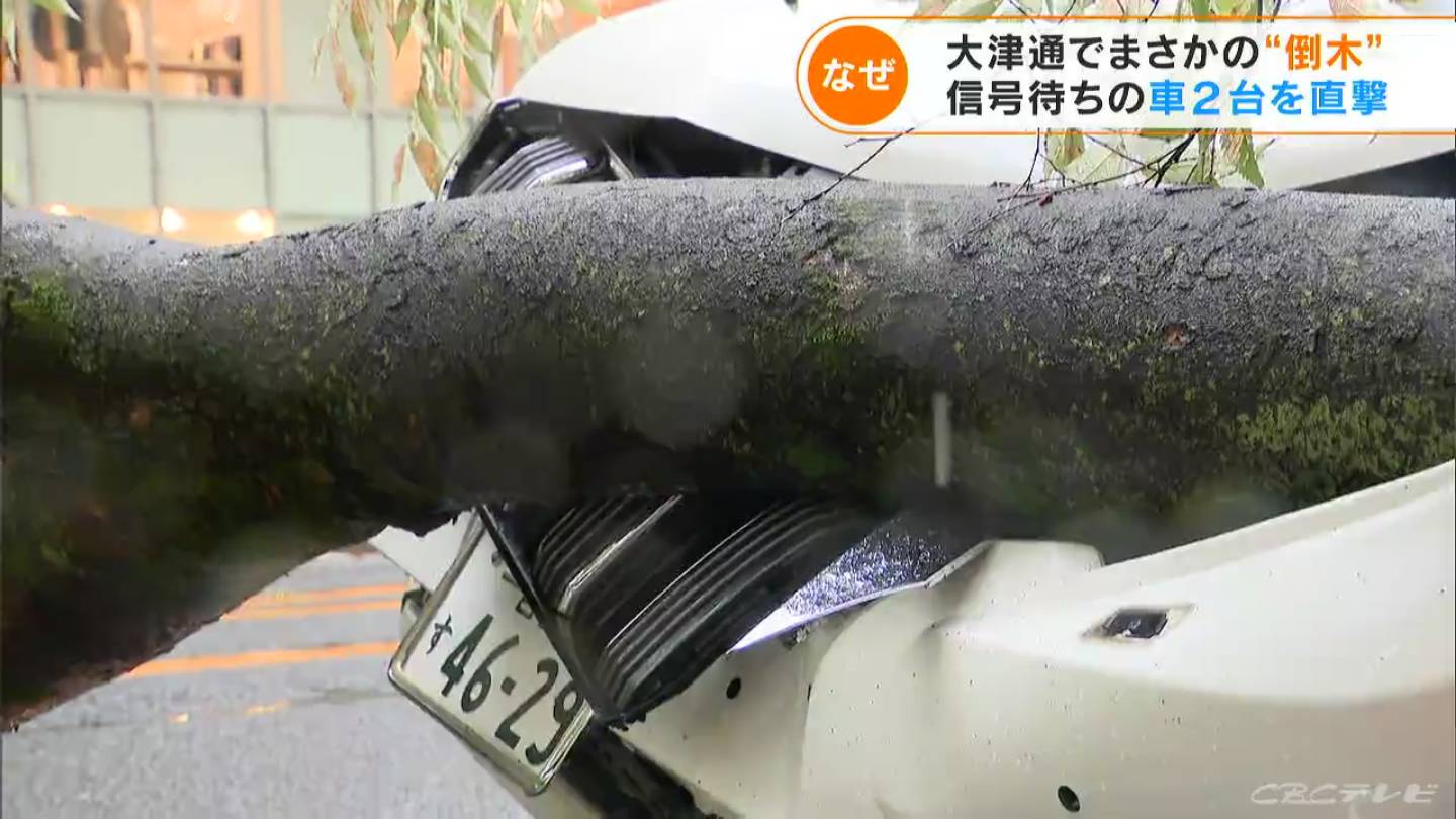 「雷が落ちたような音が」街路樹が倒れて車を直撃 “瞬間映像”を入手 名古屋・大津通のケヤキ 根元が腐っていたか