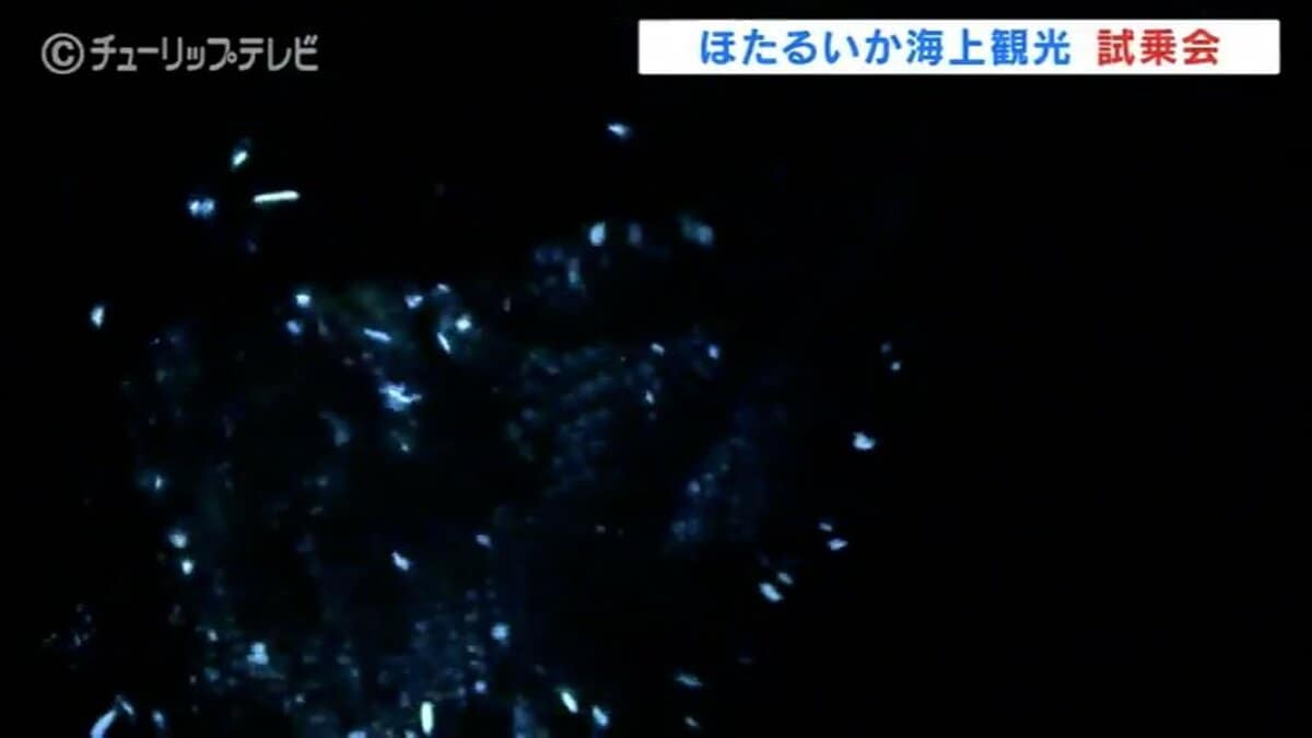 神秘的な光が火星の夜を照らします。それは何についてですか?