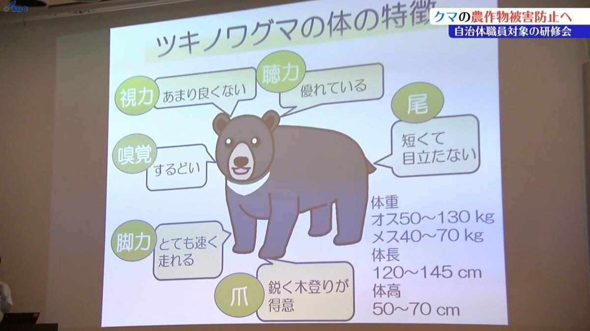 ツキノワグマによる農作物被害の防止のため 市や町の担当者に向けた
