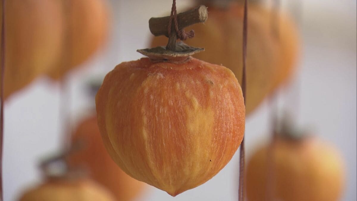 img_a4941287616db06916074eb25f