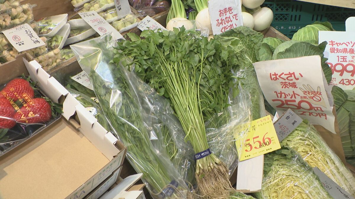 【加賀（石川）限定:加賀野菜　ぶらぶら5種】2007年　はろうきてぃ根付け　美品 img_a4dfaf2dc9893b82161f8d3289