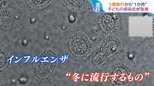 ‟子どもの免疫力”が低下!?RS・インフル・ヘルパンギーナ…季節外れの感染症が急増【ひるおび】|TBS NEWS DIG