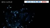 神秘的な光に包まれ…ほたるいか海上観光の試乗会　運航開始は３月３０日　富山・滑川市　|　富山のニュース｜天気・防災｜チューリップテレビ
