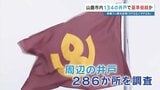 熊本県山鹿市内134の井戸から基準値「超過」または「超過見込み」の“有機フッ素化合物（PFAS）”検出　|　熊本のニュース｜RKK NEWS｜RKK熊本放送