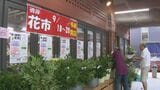恒例の秋の彼岸花市開催　島根県安来市の道の駅あらエッサ|TBS NEWS DIG