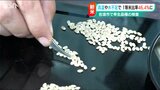 一等米比率は46.4%「非常に厳しい」粒が白くなったりヒビ割れたり… 高温渇水で|TBS NEWS DIG