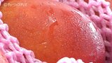 学校給食に「台湾産マンゴー」をデザートとして200個を寄贈 富山・砺波市 |TBS NEWS DIG