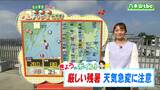 「きょうも真夏日の予想、西部の山沿いを中心に雨や雷雨の確率が高く天気の急変に注意」宮城の30秒天気 tbc気象台 21日|TBS NEWS DIG