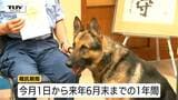 シェパードとボーダーコリーが市民の安全を守る「嘱託警察犬」に　警察活動の貢献に期待（山形・村山市）　|　山形のニュース│TUYテレビユー山形