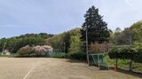 小学校の校庭にサル現れる 児童らに被害は無し 3日前にも出没 岩手・岩手町|TBS NEWS DIG