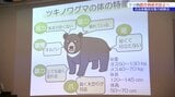 ツキノワグマによる農作物被害の防止のため 市や町の担当者に向けた研修会 岩手|TBS NEWS DIG