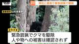 神社に逃げ込んだクマをドローンで発見 緊急銃猟で駆除 きょうも各地でクマの目撃相次ぐ(山形・鶴岡市) | 山形のニュース│TUYテレビユー山形