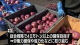 過去2番目の少なさに 2025年に青森県内で収穫されたリンゴは35万1400トン 40万トンを割り込むのは3年連続 県は引き続き労働力の確保や省力化などに取り組むことに | 青森のニュース│ATV NEWS│青森テレビ