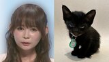 【中川翔子】　天国の愛猫【カステラ】へ思い　「夢を見ました　生き返って子猫からやり直す夢」「唯一無二の天使だった」「健康な身体を持ってまた生まれ変わって出会ってほしい」|TBS NEWS DIG