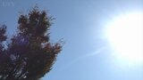甲府で最高気温26度の夏日予想　山梨県内11月に2日連続夏日なら観測史上初|TBS NEWS DIG