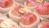 「食べるのが楽しみ」旬の食材や特産品の販売会「長田の桃」には行列も=静岡市 | 静岡のニュース | SBSNEWS | 静岡放送