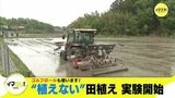 ゴルフボールも使います！　“植えない” 田植え 実験開始　|　RCC NEWS | 広島ニュース | RCC中国放送