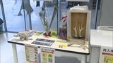 特賞は「金鯱サボテン」「ツシマジカの角」 今年1年の運勢を占う「どうぶつおみくじ」 福岡市動物園 | 福岡のニュース|RKB NEWS|RKB毎日放送