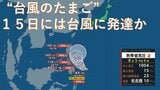 【台風のたまご】熱帯低気圧発生 あすには「2026年最初の台風」に発達か? 雨と風最新シミュレーション 1/14~1/19の予報を見る|TBS NEWS DIG