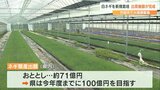目指せ出荷額100億円! 調整施設で白ネギの大規模栽培スタート 大分・竹田市 | 大分のニュース|OBS NEWS|大分放送