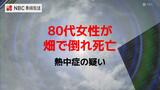 熱中症の疑いで80代の女性が死亡【長崎】|TBS NEWS DIG