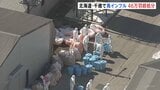 千歳市の養鶏場で高病原性鳥インフルエンザ　ニワトリ46万羽の殺処分始める　北海道の発生は今シーズン5例目|TBS NEWS DIG