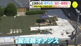 「街との共存のあり方を」広島都心のオアシス　初の一般開放へ　|　RCC NEWS | 広島ニュース | RCC中国放送