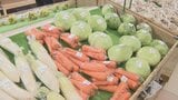 去年より4割安い野菜も! 生産者からダイレクトに店頭に並べられる新鮮野菜の宝庫 道の駅は活況に | 山梨のニュース | UTYテレビ山梨