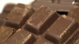 チョコレートがもう食べられなくなる!? 深刻なカカオ豆の高騰 打開策探る企業の挑戦=浜松【現場から、】 | 静岡のニュース | SBSNEWS | 静岡放送