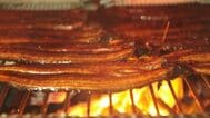 「完全養殖ウナギ」手頃な価格で食卓に並ぶ日は来るのか？ 試験販売で即日完売、10万尾量産へ　|　大分のニュース｜OBS NEWS｜大分放送