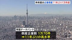 2024年度の企業倒産1万70件　負債総額3年連続で2兆円超　物価高や人手不足など背景　帝国データバンク| TBS CROSS DIG with Bloomberg