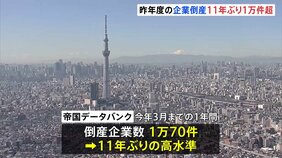 2024年度の企業倒産1万70件　負債総額3年連続で2兆円超　物価高や人手不足など背景　帝国データバンク|TBS NEWS DIG