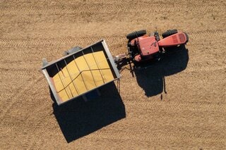 中国、米国産大豆800万トン以上購入－約束の3分の2を調達済み| TBS CROSS DIG with Bloomberg